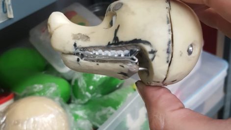 {{brizy_dc_image_alt imageSrc=