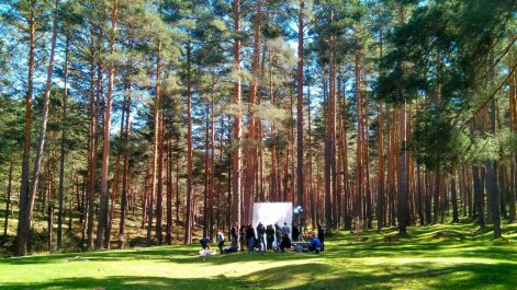 {{brizy_dc_image_alt imageSrc=