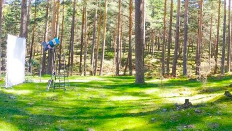 {{brizy_dc_image_alt imageSrc=