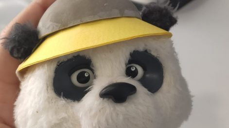 Panda head checking the hat
